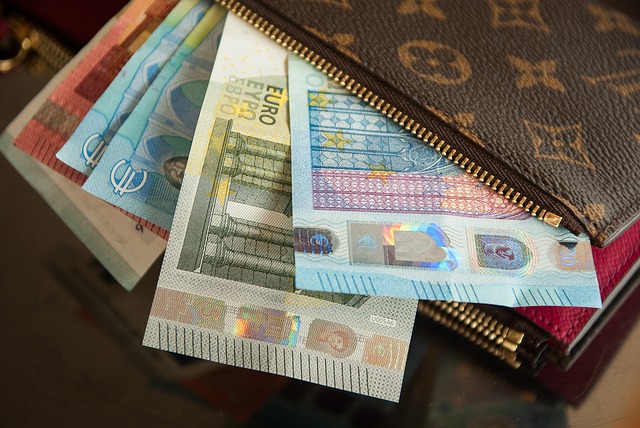 wallet with euros
