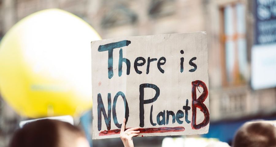 There is no planet b placard