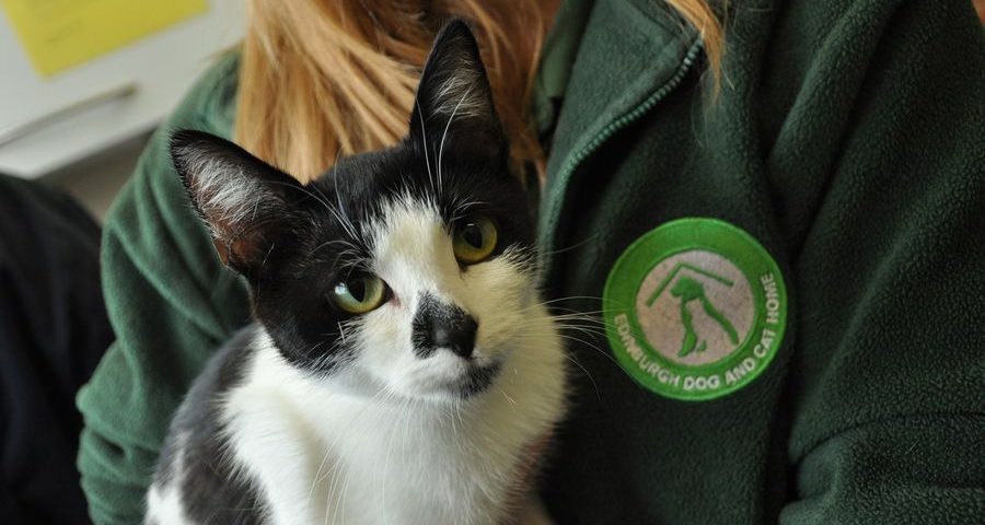 A black and white cat sits on the lap of a woman with long light brown hair wearing a dark green fleece with a Edinburgh Dog and Cats Home badge on it