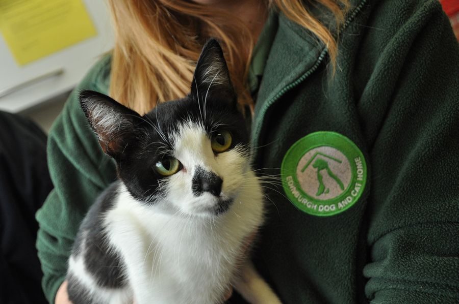 A black and white cat sits on the lap of a woman with long light brown hair wearing a dark green fleece with a Edinburgh Dog and Cats Home badge on it