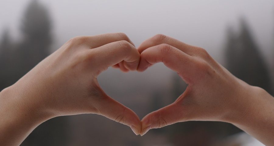 two hands join to make a heart shape against a backdrop of misty trees. By Alexander Krylkov on Pexels