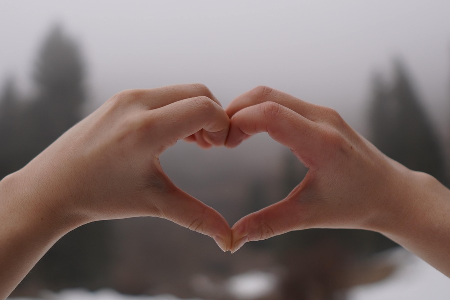 two hands join to make a heart shape against a backdrop of misty trees. By Alexander Krylkov on Pexels