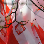 Polish flags by Natalia Gasiorowska unsplash