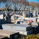 A row of graves in a crowded cemetery