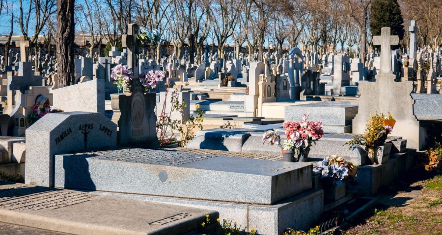 A row of graves in a crowded cemetery