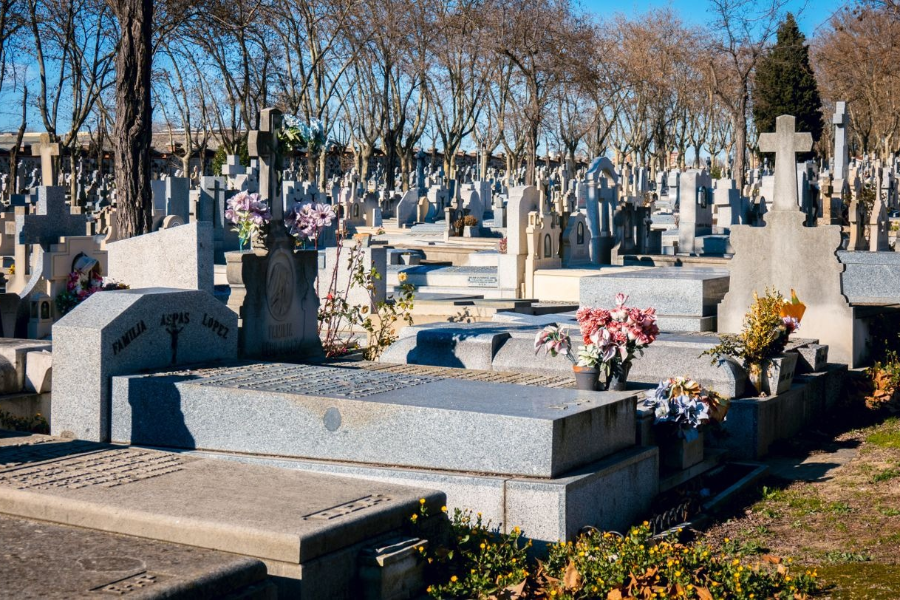 A row of graves in a crowded cemetery